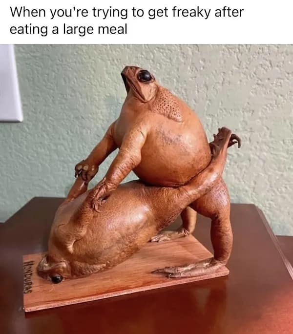 8:06 ... •• Got a fat puss, holla at me! Cat tunnels for sale. Great for your f... $5 Send seller a message Hi, is this available? Send Alerts Send offer Share Save Description Get that extra weight off that putty cat. Cat has gotten to old to play with. Passing it along