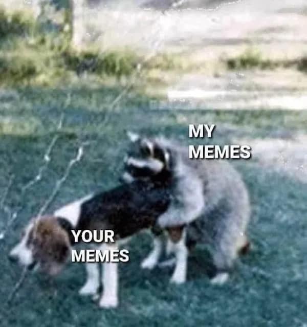 YOUR MEMES MY MEMES