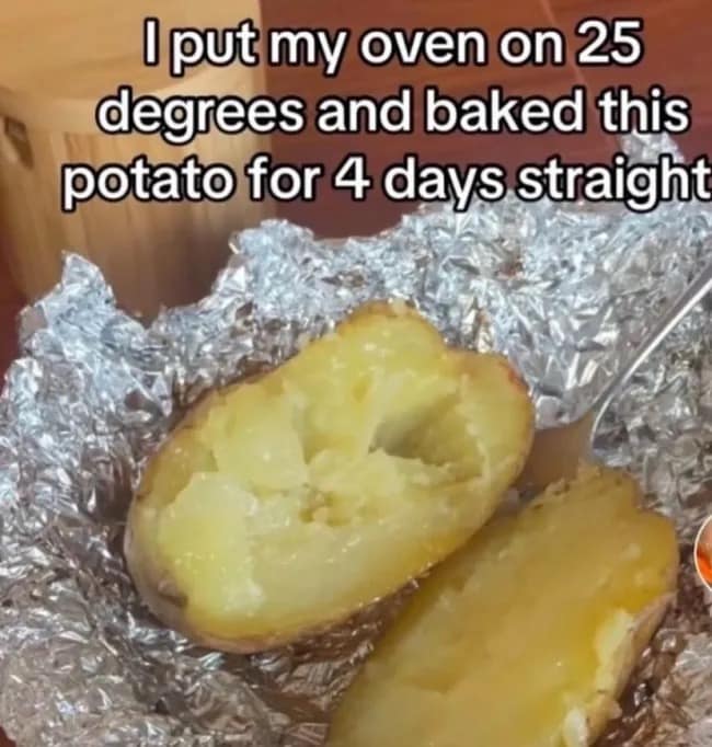 I put my oven on 25 degrees and baked this potato for 4 days straight