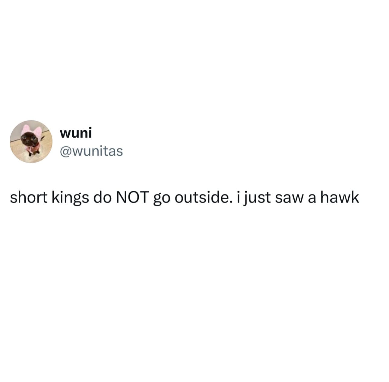 wuni @wunitas short kings do NOT go outside. i just saw a hawk