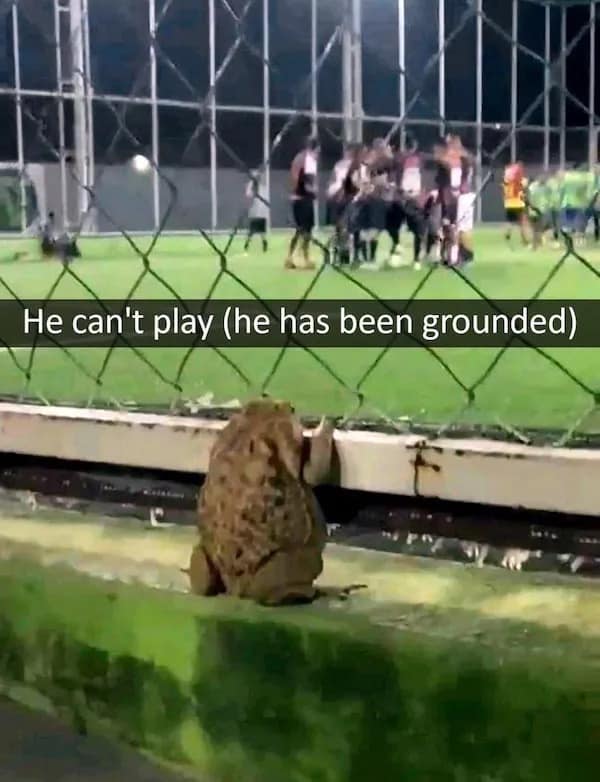 He can't play (he has been grounded