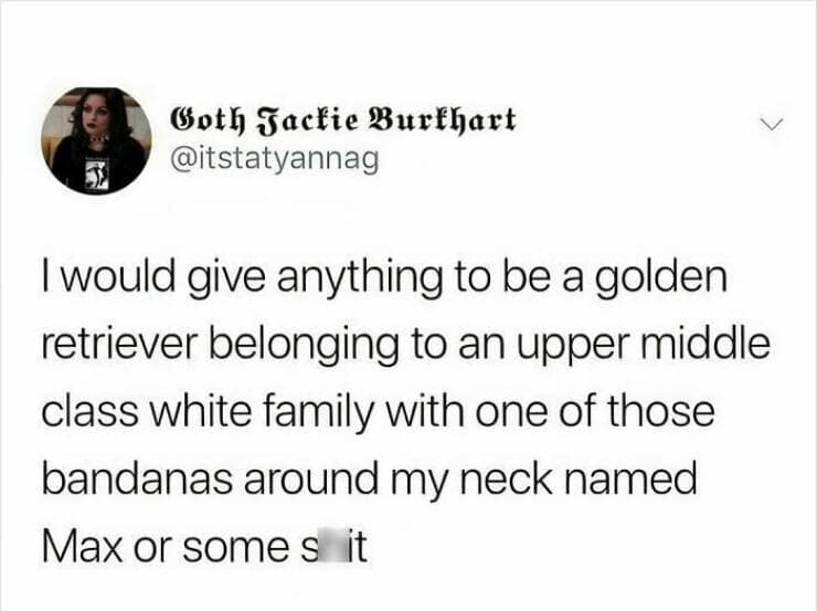 I would give anything to be a golden retriever belonging to an upper middle class white family with one of those bandanas around my neck named Max or somes