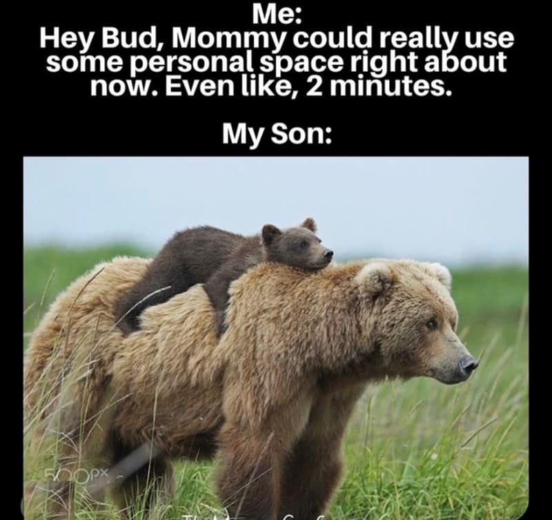 mom memes, motherhood memes, mother memes, mommy memes, funny mom jokes, relatable parent humor, mom life laughs, motherhood jokes, matriarch banter, domestic comedy