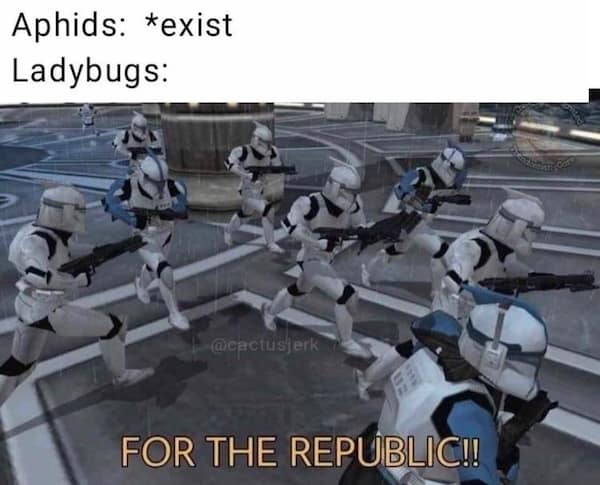 mother nature memes, nature memes, earth humor, natural world jokes, outdoor comedy, wilderness mockery, scenic roasts, outdoors memes, wilderness laughs, forest banter, environmental memes, eco puns, green gags, outdoor memes