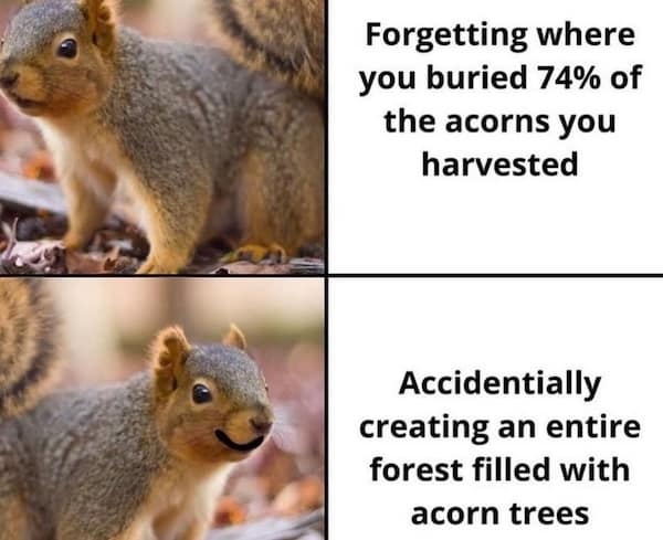 mother nature memes, nature memes, earth humor, natural world jokes, outdoor comedy, wilderness mockery, scenic roasts, outdoors memes, wilderness laughs, forest banter, environmental memes, eco puns, green gags, outdoor memes