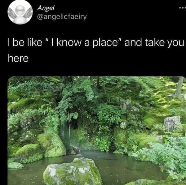 mother nature memes, nature memes, earth humor, natural world jokes, outdoor comedy, wilderness mockery, scenic roasts, outdoors memes, wilderness laughs, forest banter, environmental memes, eco puns, green gags, outdoor memes