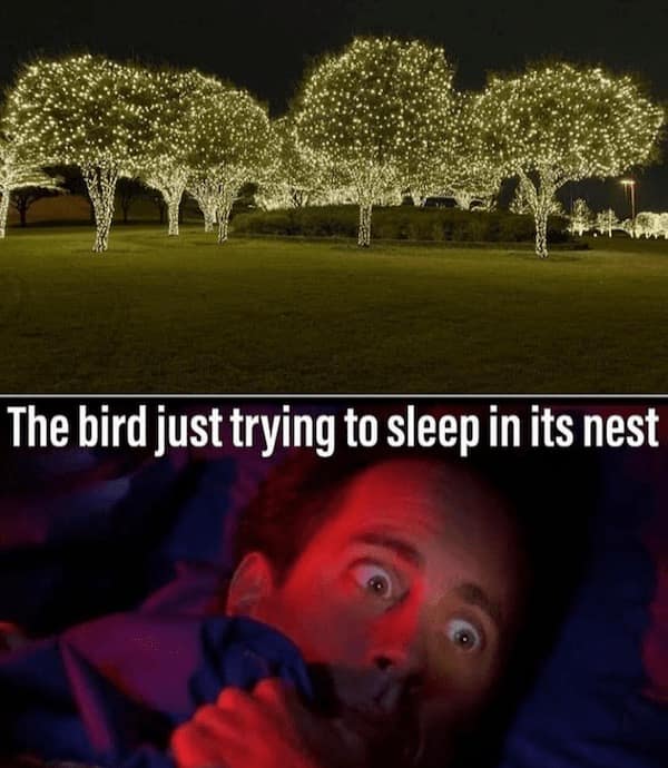 mother nature memes, nature memes, earth humor, natural world jokes, outdoor comedy, wilderness mockery, scenic roasts, outdoors memes, wilderness laughs, forest banter, environmental memes, eco puns, green gags, outdoor memes