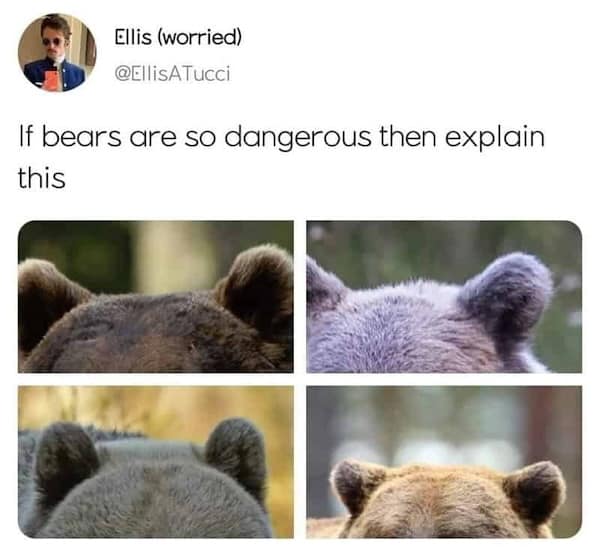 mother nature memes, nature memes, earth humor, natural world jokes, outdoor comedy, wilderness mockery, scenic roasts, outdoors memes, wilderness laughs, forest banter, environmental memes, eco puns, green gags, outdoor memes