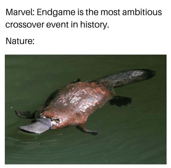 mother nature memes, nature memes, earth humor, natural world jokes, outdoor comedy, wilderness mockery, scenic roasts, outdoors memes, wilderness laughs, forest banter, environmental memes, eco puns, green gags, outdoor memes