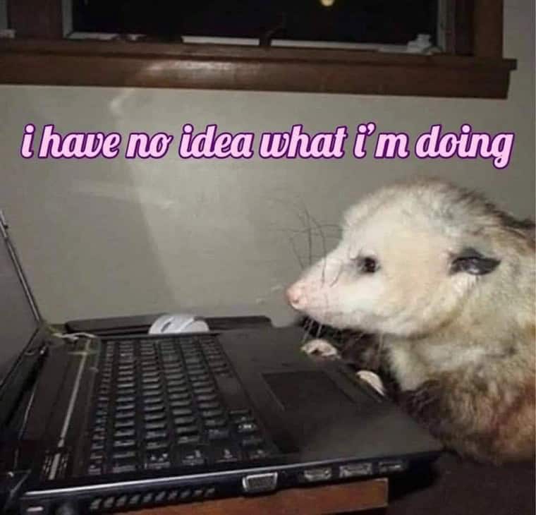 i have no idea what i'm doing