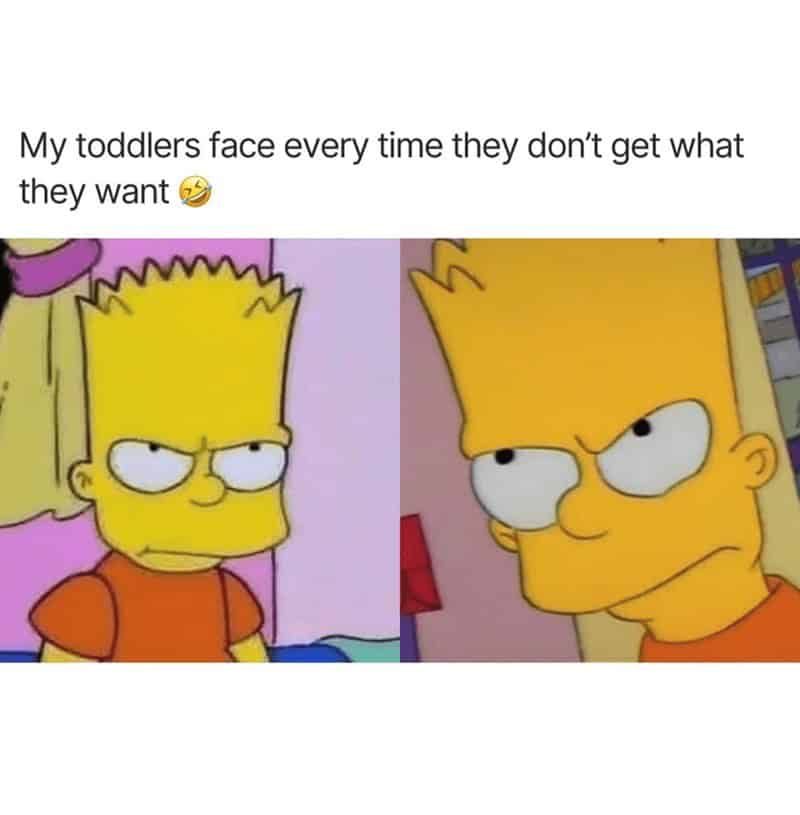 parenting memes, funny parenting memes, mom dad memes, child-raising memes, family chaos memes, funny parent jokes, comedic parent lines, witty parenting remarks, mom and dad humor, caretaker banter, guardianship gags