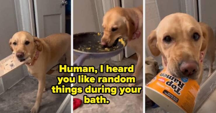 Human, I heard you like random things during your bath.