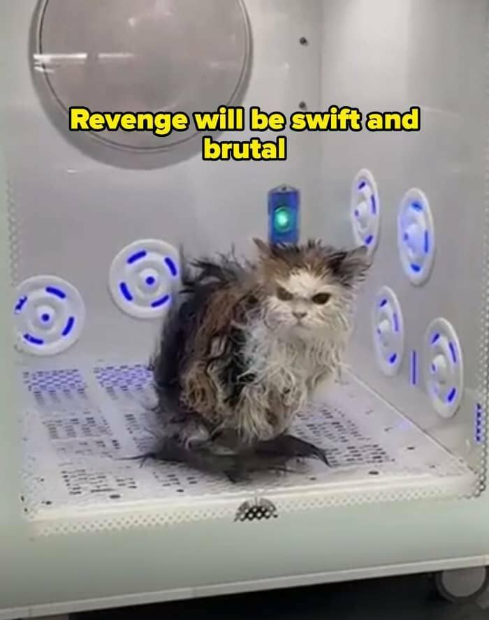 Revenge will be swift and brutal
