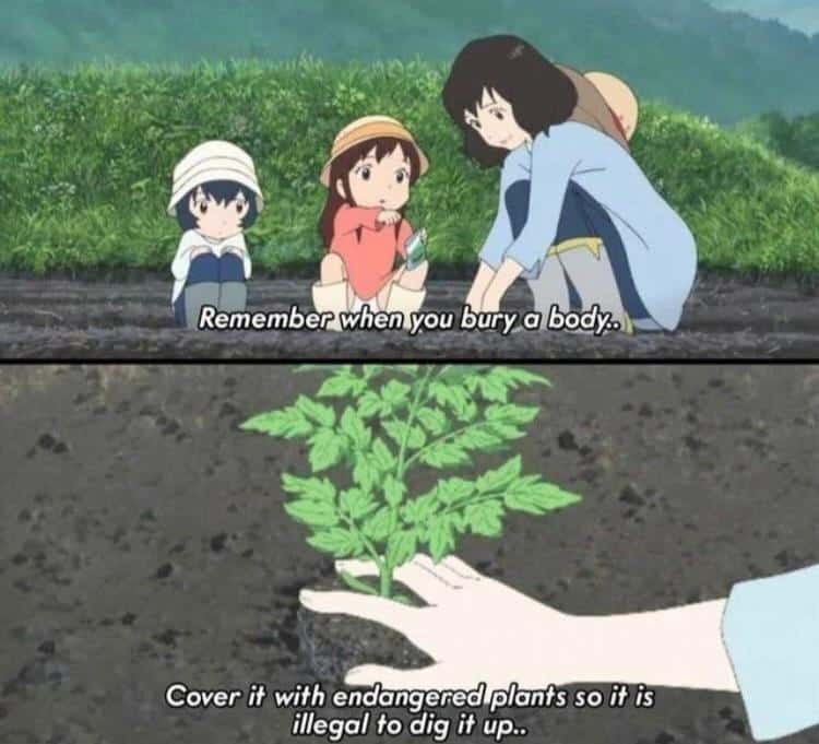 plant memes, gardening memes, botanical memes, greenery memes, horticulture memes, garden memes, plant parent memes, green thumb jokes, plant parent jokes, horticultural humor, indoor plant humor, houseplant humor, potted plant memes