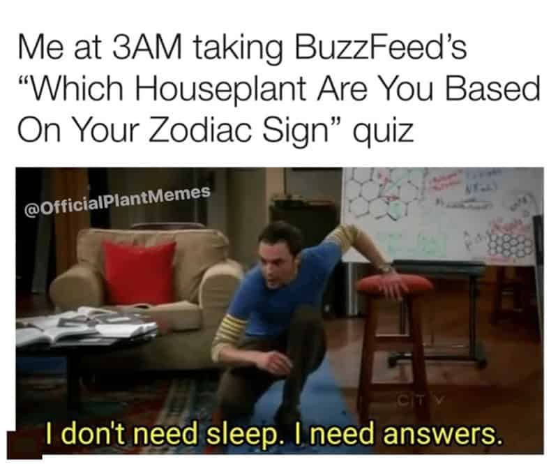plant memes, gardening memes, botanical memes, greenery memes, horticulture memes, garden memes, plant parent memes, green thumb jokes, plant parent jokes, horticultural humor, indoor plant humor, houseplant humor, potted plant memes