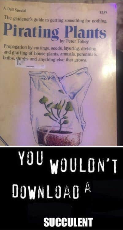 plant memes, gardening memes, botanical memes, greenery memes, horticulture memes, garden memes, plant parent memes, green thumb jokes, plant parent jokes, horticultural humor, indoor plant humor, houseplant humor, potted plant memes