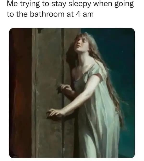 Me trying to stay sleepy when going to the bathroom at 4 am