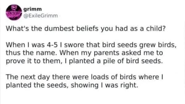 relatable memes, relatable humor, everyday memes, life memes, funny adulting memes, daily struggle memes, life humor , humorous grown-up memes, daily frustration memes, everyday comedy memes