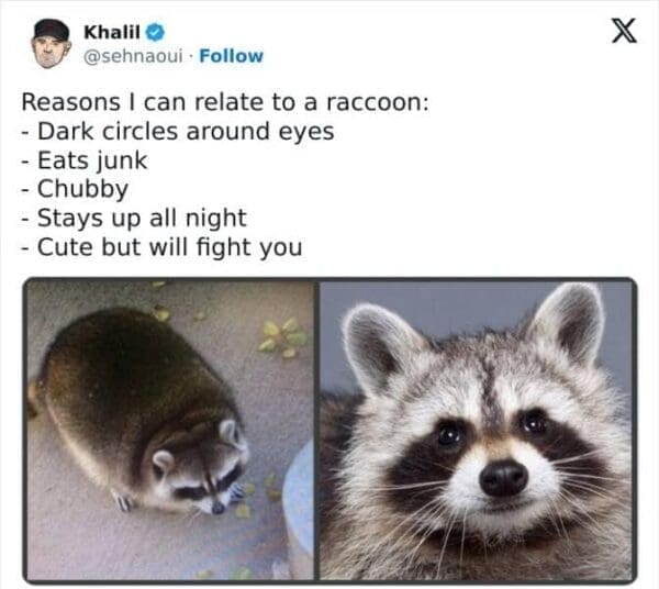 44 Sarcastic Memes Proving There’s No Such Thing as Too Much Snark