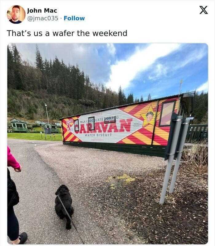 scottish twitter, scottish tweets, Scottish humor, funny Scottish tweets, Scottish jokes, hilarious tweets, sarcasm memes, regional humor, dry Scottish wit, humorous Scottish posts, witty regional tweets, scotland memes, scottish memes