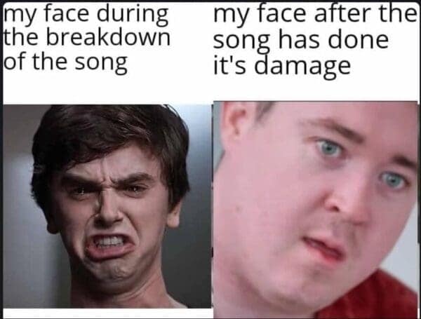 my face during the breakdown of the song my face after the song has done it's damage