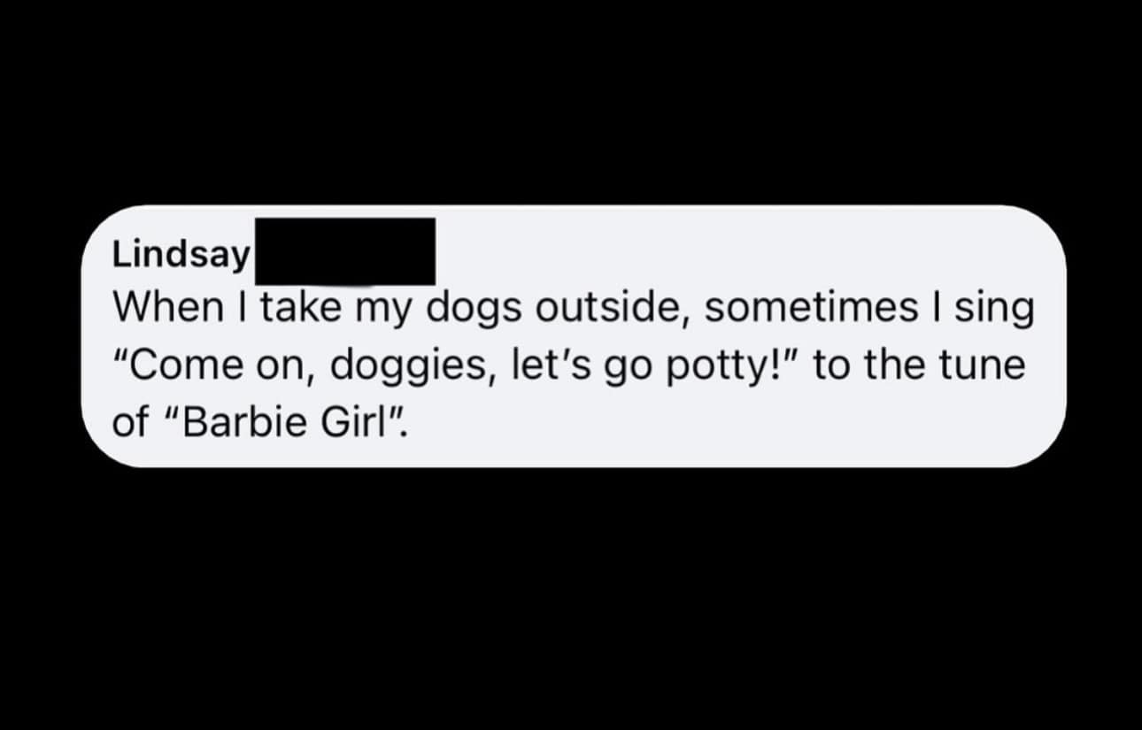 When I take my dogs outside, sometimes I sing "Come on, doggies, let's go potty!" to the tune of "Barbie Girl".