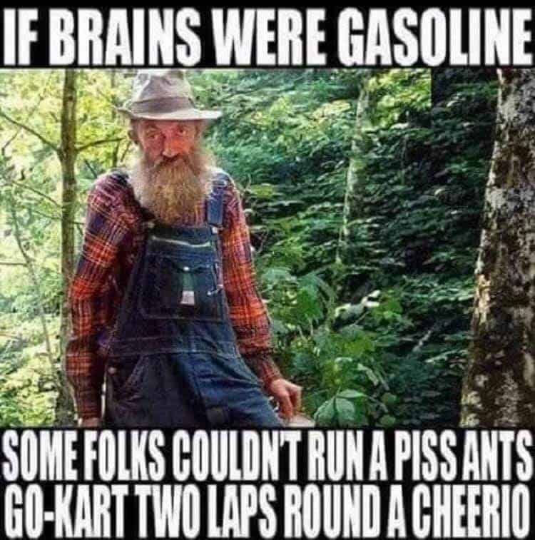 southern memes, funny southern memes, southern humor memes, southern jokes, southern meme jokes, southern living memes, southern culture jokes, southern usa humor