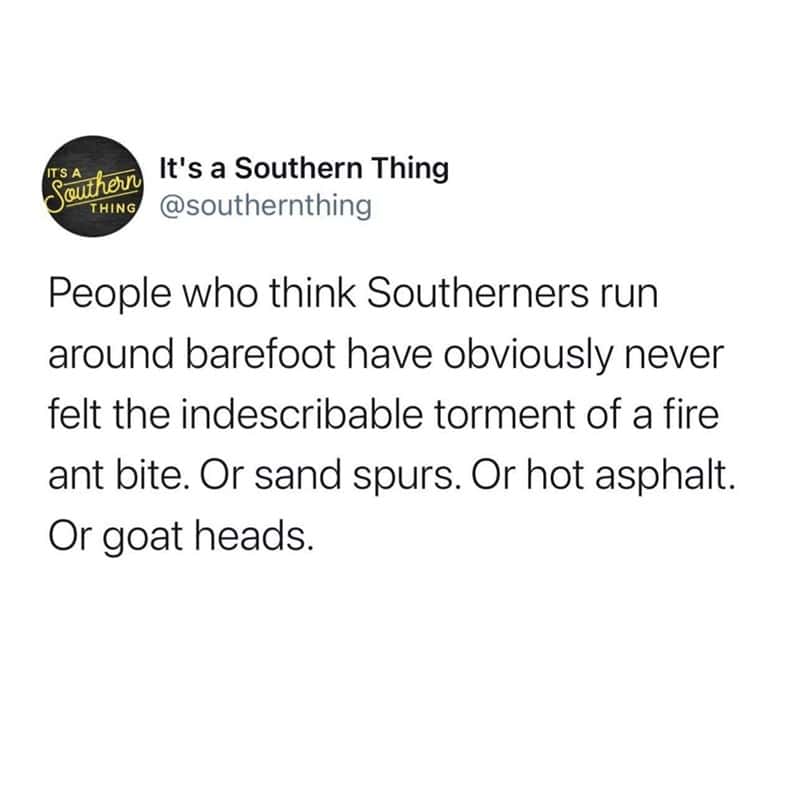 southern memes, funny southern memes, southern humor memes, southern jokes, southern meme jokes, southern living memes, southern culture jokes, southern usa humor