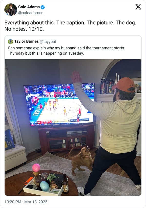 Everything about this. The caption. The picture. The dog. No notes. 10/10.