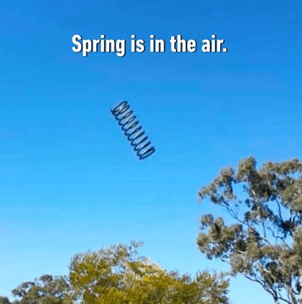 Spring is in the air.