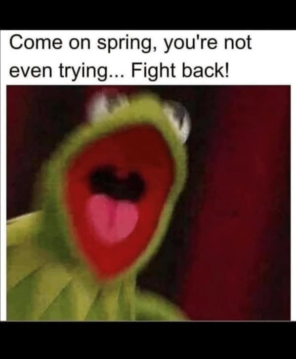 spring memes, spring meme, blossoming memes, seasonal humor, fresh season laughs, funny spring images, comedic bloom shots, vernal jokes, spring jokes, seasonal puns, blossoming banter, spring humor, daylight larks, transitional quips