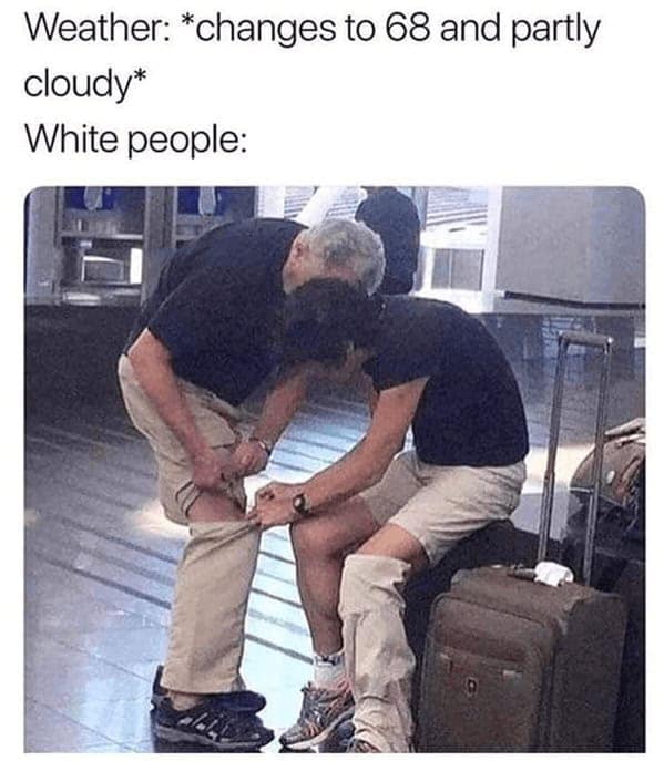 spring memes, spring meme, blossoming memes, seasonal humor, fresh season laughs, funny spring images, comedic bloom shots, vernal jokes, spring jokes, seasonal puns, blossoming banter, spring humor, daylight larks, transitional quips