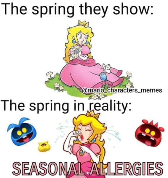28 Spring Memes to Coax You Out of Hibernation