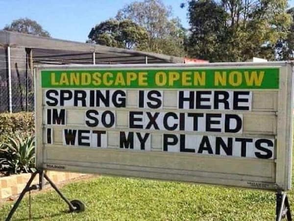 SPRING IS HERE IMET MY PLANTS
