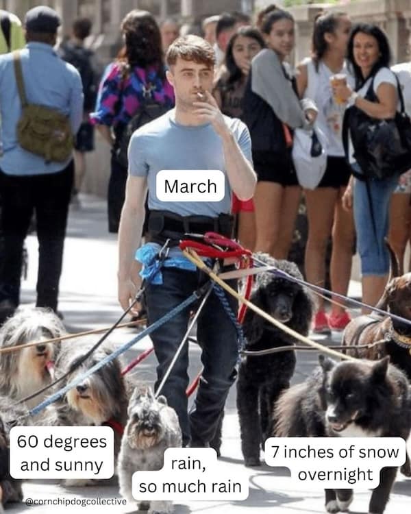 March 60 degrees and sunny @cornchipdogcollective rain, so much rain 7 inches of snow overnight