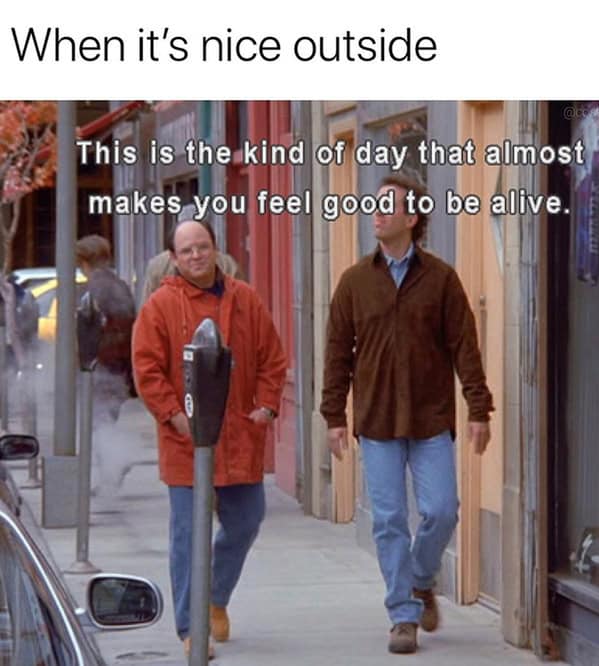 spring memes, spring meme, blossoming memes, seasonal humor, fresh season laughs, funny spring images, comedic bloom shots, vernal jokes, spring jokes, seasonal puns, blossoming banter, spring humor, daylight larks, transitional quips