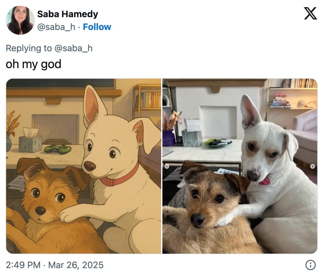 studio ghibli memes, ghiblify memes, ghibli memes