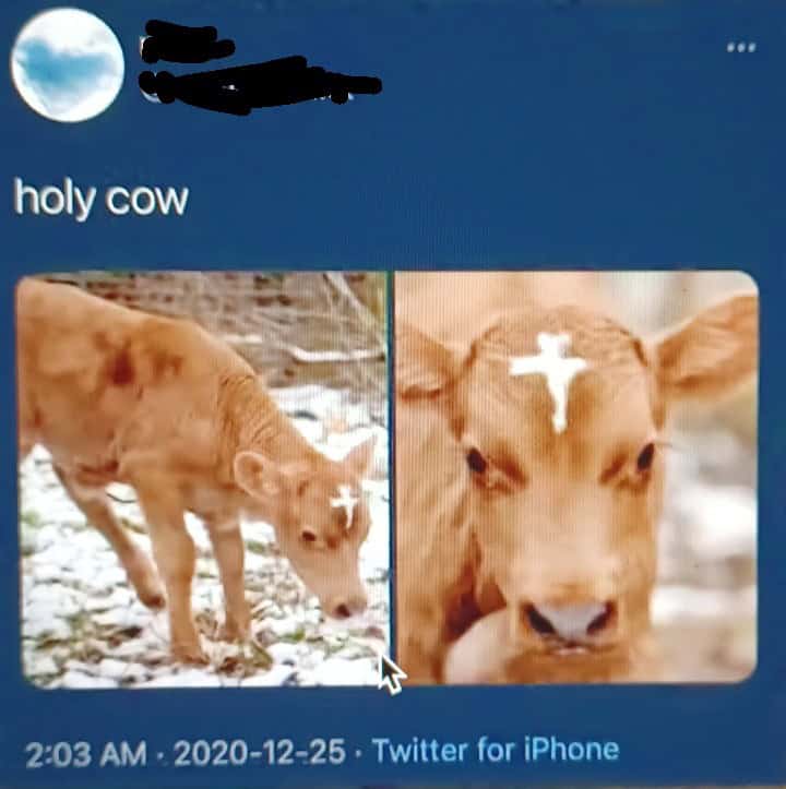 technically correct meme, technically correct memes, accurate meme, precise meme, factual meme, logic memes, reason jokes, literal humor, logic jokes, nitpicking humor, detail-based comedy, nerd humor, academic gags, smart-aleck quips