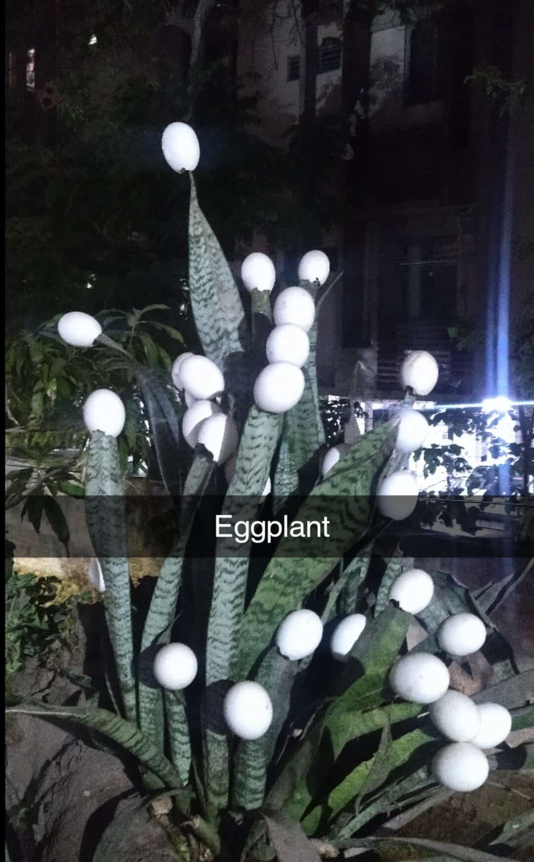 technically correct meme, technically correct memes, accurate meme, precise meme, factual meme, logic memes, reason jokes, literal humor, logic jokes, nitpicking humor, detail-based comedy, nerd humor, academic gags, smart-aleck quips