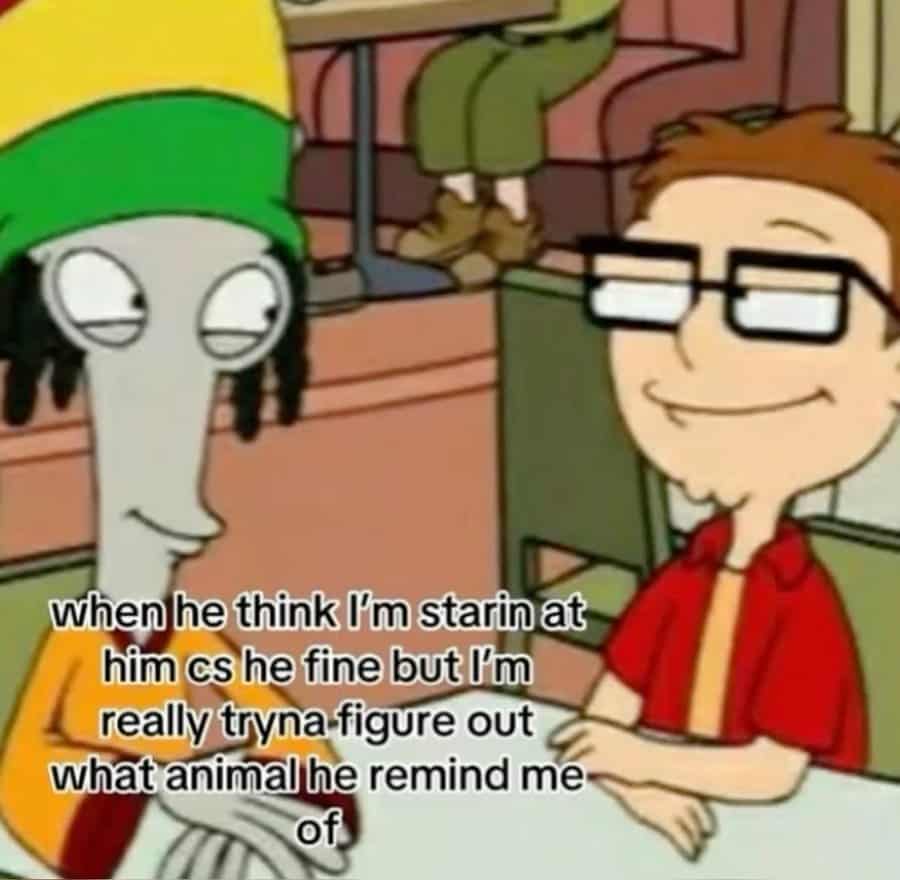 when he think I'm starin at him cs he fine but l'm really tryna figure out what animal he remind me