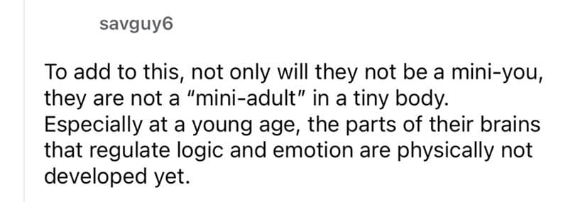 To add to this, not only will they not be a mini-you, they are not a "mini-adult" in a tiny body. Especially at a young age, the parts of their brains that regulate logic and emotion are physically not developed yet.
