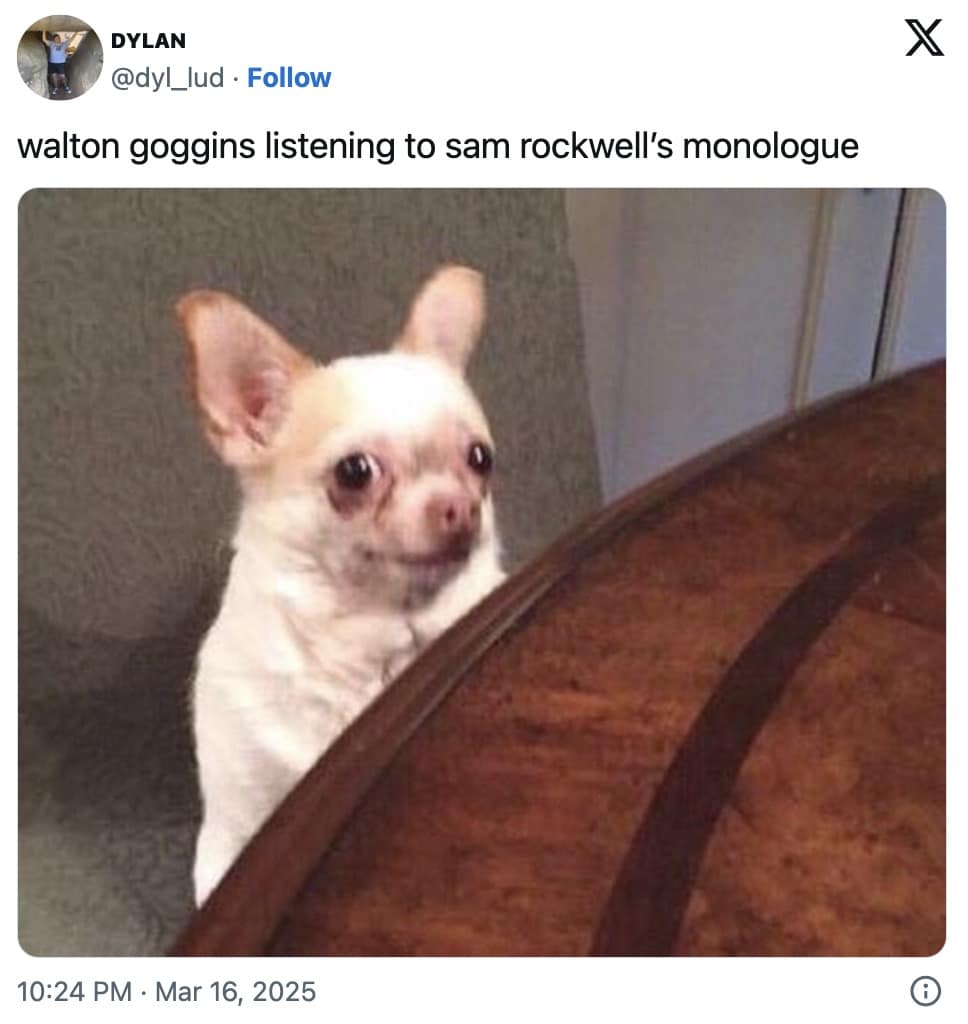 walton goggins meme, walton goggins memes, White Lotus meme, reaction memes, oversharing memes, awkward moment memes, social anxiety memes, relatable reaction memes, uncomfortable reaction memes, stunned expression memes, forced politeness memes