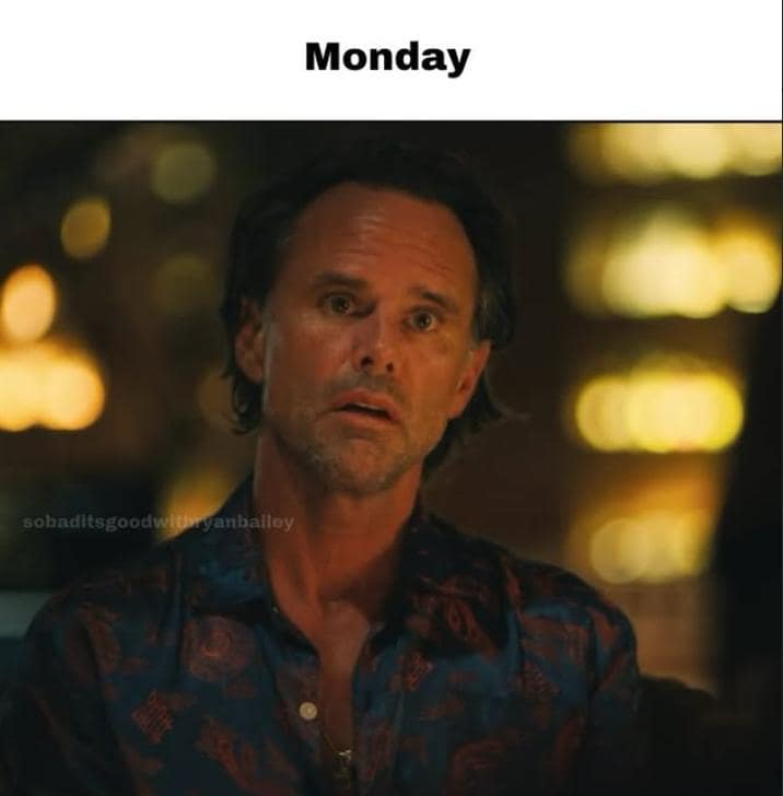 walton goggins meme, walton goggins memes, White Lotus meme, reaction memes, oversharing memes, awkward moment memes, social anxiety memes, relatable reaction memes, uncomfortable reaction memes, stunned expression memes, forced politeness memes