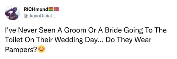 I've Never Seen A Groom Or A Bride Going To The Toilet On Their Wedding Day... Do They Wear Pampers?