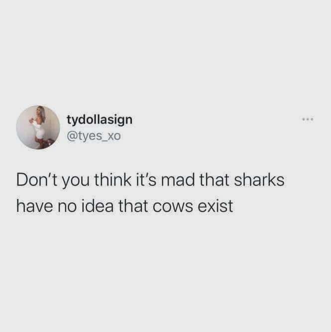 weirdly specific memes, relatable memes, oddly specific memes, precise memes, detailed memes, relatable memes, universal memes, everyday memes, common life memes anxiety memes, stress memes, nervous memes, worry memes, shy memes, social anxiety memes, quiet memes