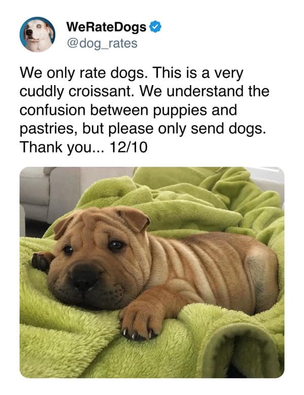 weratedogs, dog memes, dog ratings, dog humor, puppy tweets, funny dog memes, wholesome pet pics, hilarious animal tweets, canine comedy, adorable dog posts, pet humor, weratedogs tweets