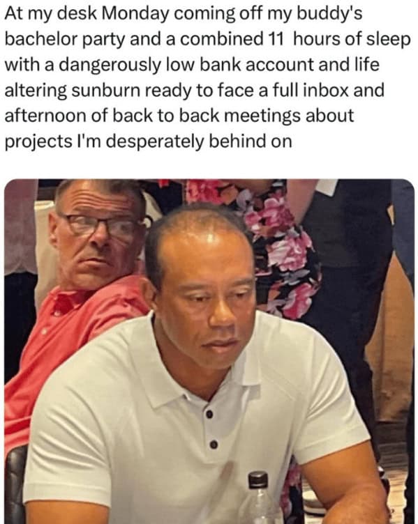 work memes, office memes, job memes, workplace humor, office humor, comedic workplace insights, corporate banter, work jokes, job quips, professional punchlines, funny coworker memes, hilarious colleague posts, comedic team moments