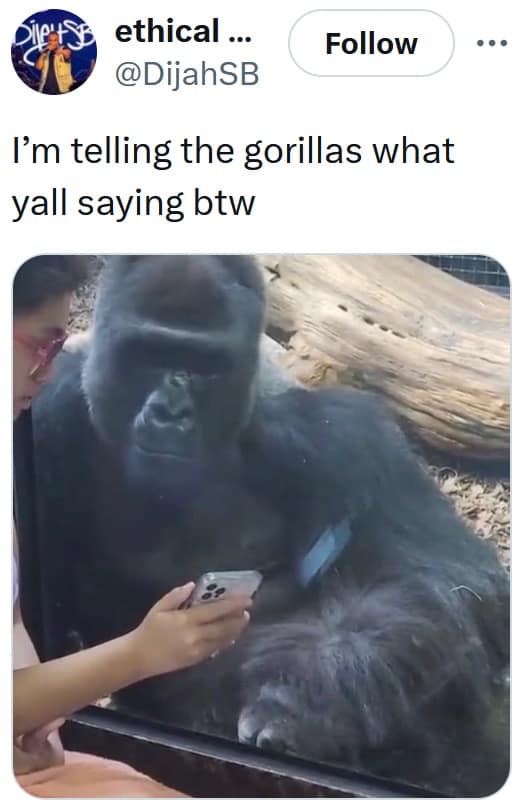 100 men vs 1 gorilla, 100 men vs 1 gorilla, internet debate memes, hypothetical fight memes, gorilla memes, fighting gorilla memes, hypothetical fight memes, imaginary battles, fantasy matchups, impossible scenario jokes