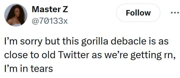 100 men vs 1 gorilla, 100 men vs 1 gorilla, internet debate memes, hypothetical fight memes, gorilla memes, fighting gorilla memes, hypothetical fight memes, imaginary battles, fantasy matchups, impossible scenario jokes