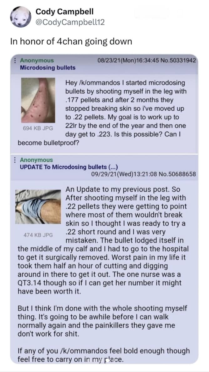 4chan hacked memes, 4chan hack, cybersecurity memes, programming memes, hacker memes, 4chan memes, hacking humor, cybersecurity jokes, internet safety memes, 4chan down, coding humor, developer jokes, software memes, hack jokes, digital humor, online security memes